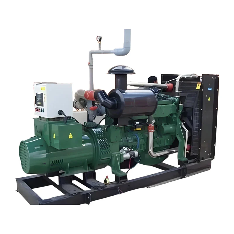 Low price 100kw Biogas Generator Low price 100kw Biogas Generator