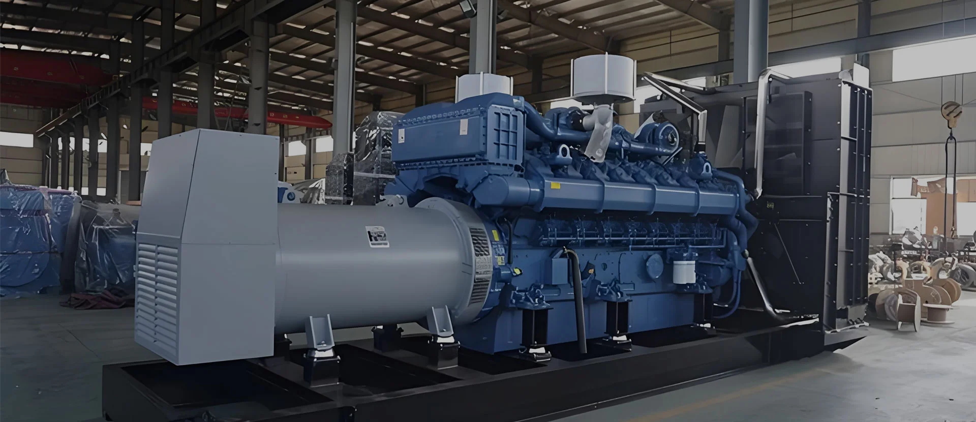 Sina Diesel generans amet