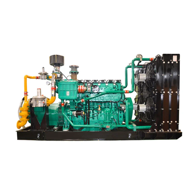 Naturalis Gas generator set
